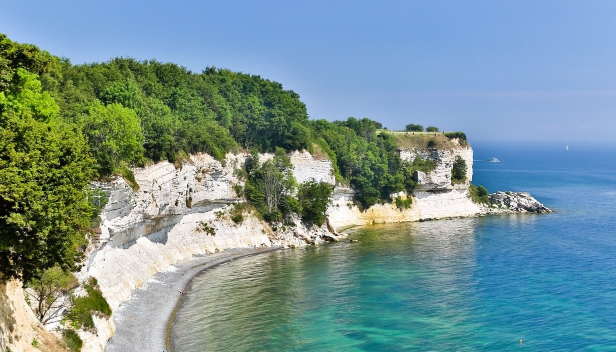 Stevns Klint på Sjælland i Danmark  - hvite kalkklipper og grønn vegetasjon.